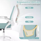 Sedia da ufficio ergonomica in rete con supporto lombare e braccioli ribaltabili – Diversi colori